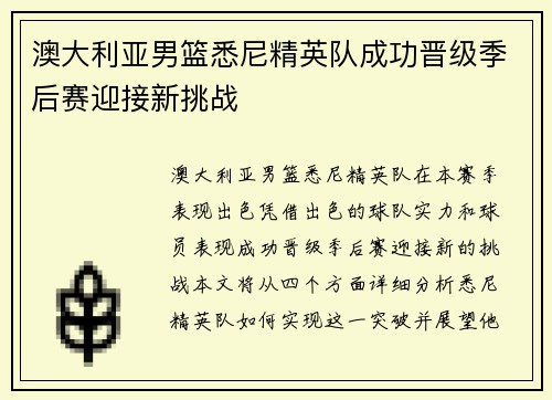 澳大利亚男篮悉尼精英队成功晋级季后赛迎接新挑战
